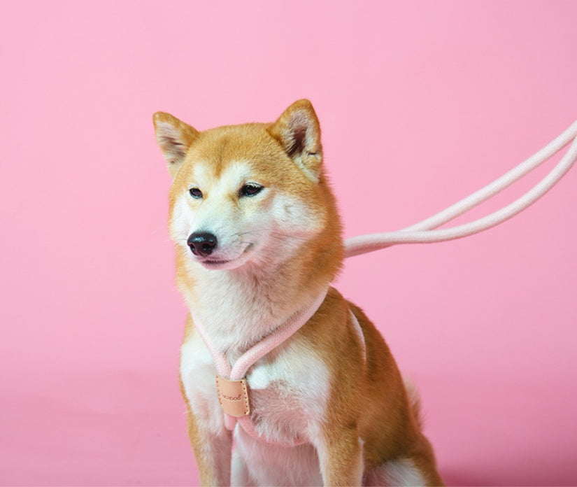 Pet Dual-purpose Dog Leash