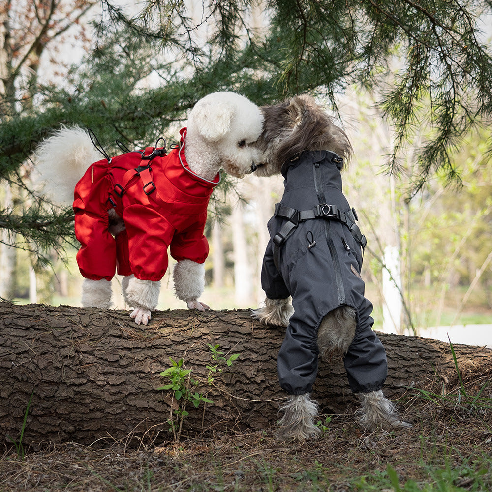 Fashion Personality Dog Raincoat