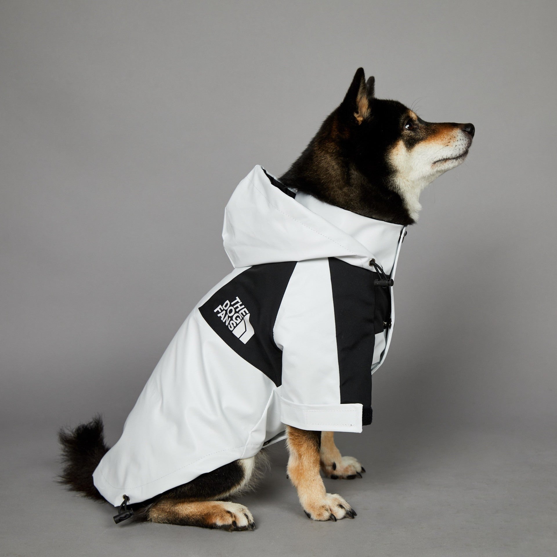 Raincoat Pet Shell Jacket