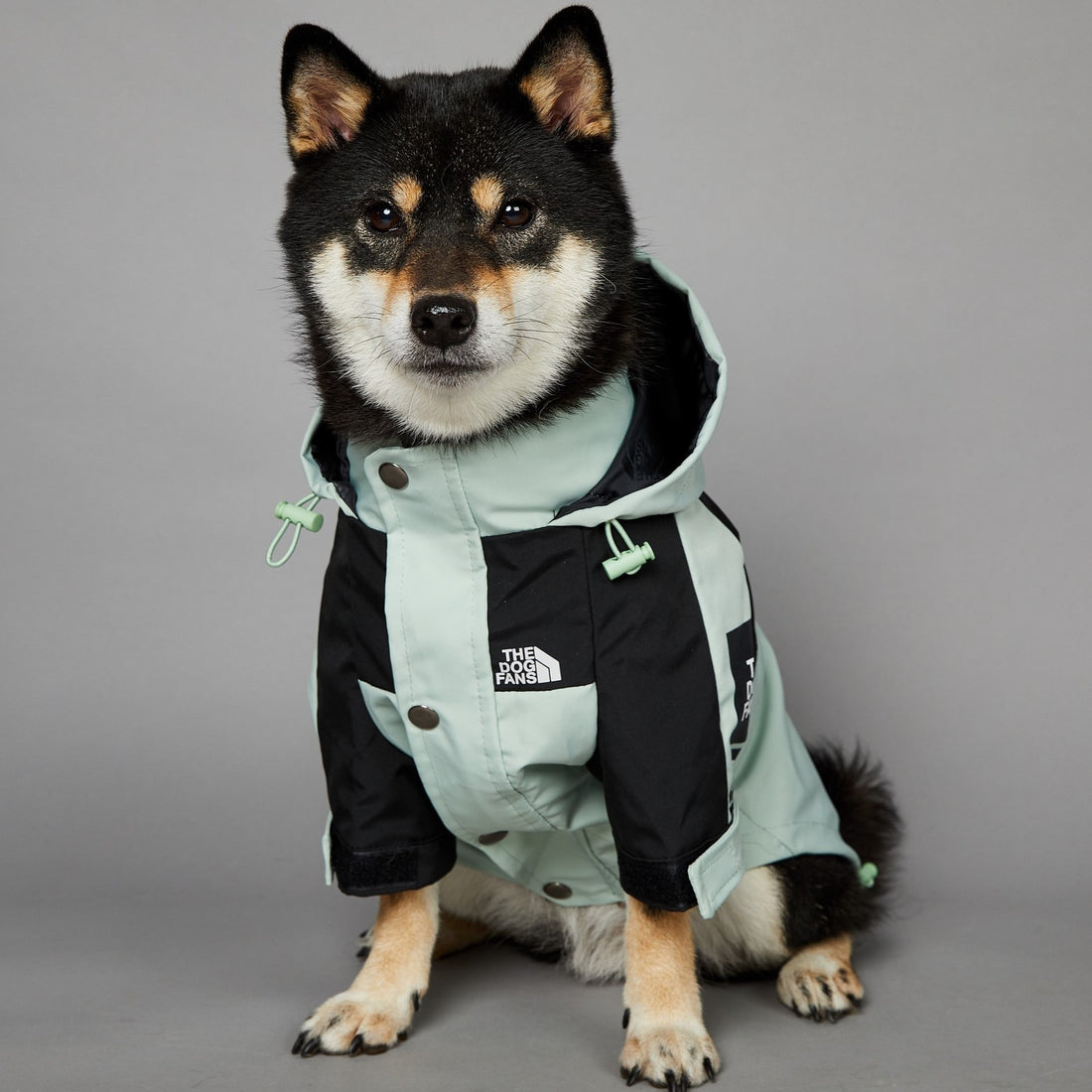 Raincoat Pet Shell Jacket