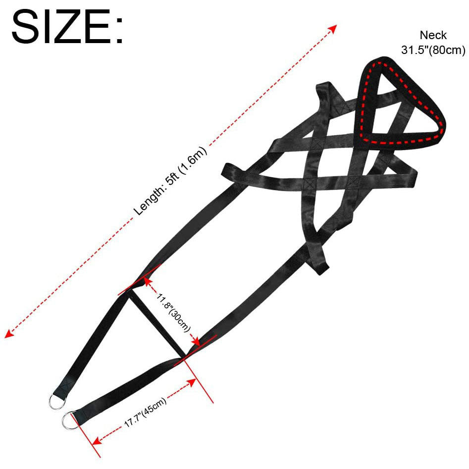 Dog supplies Leashes Chest straps