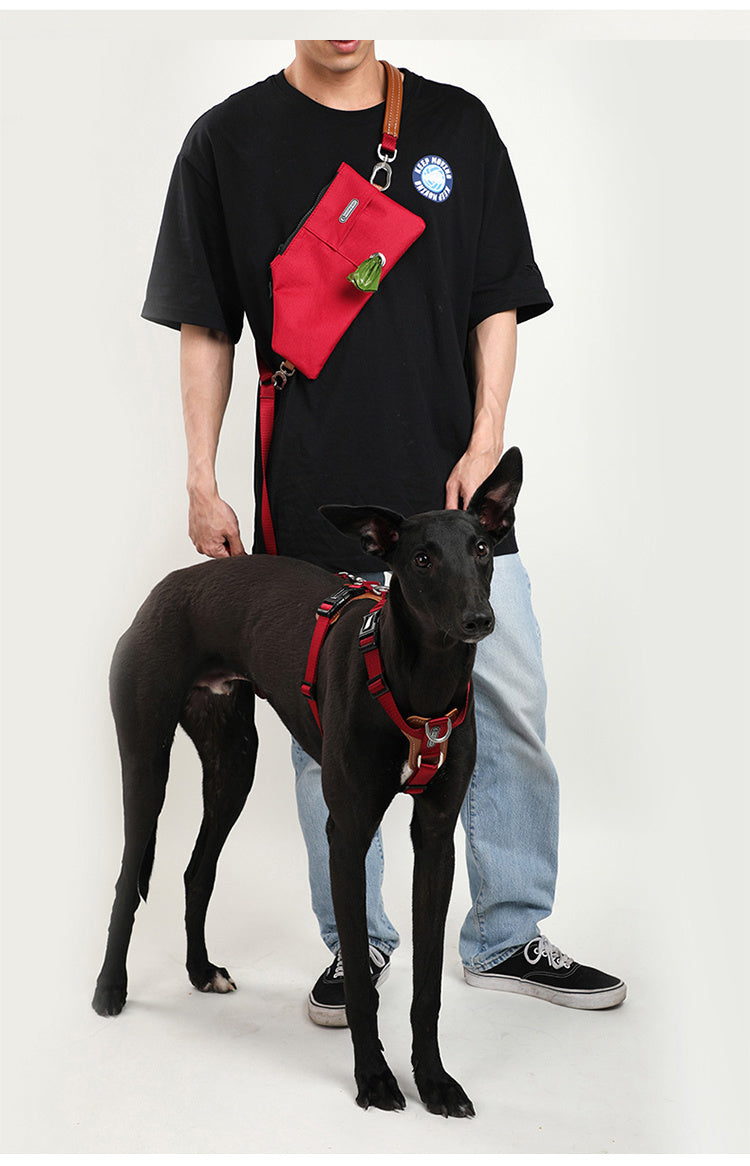 Pet Dog Traction Rope Chain