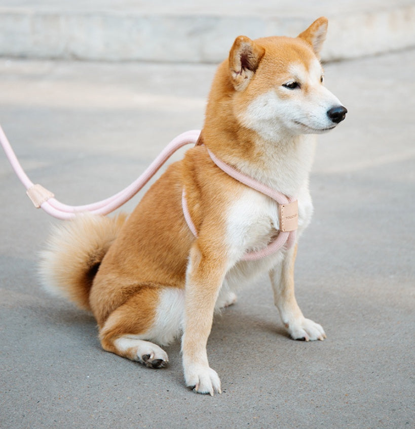 Pet Dual-purpose Dog Leash