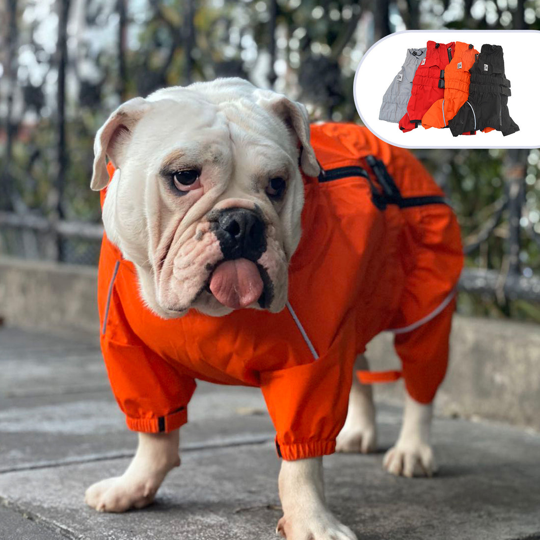Pet Outdoor Clothing Raincoat