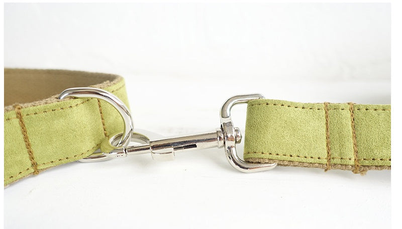 Pet dog collar Leash with high quality