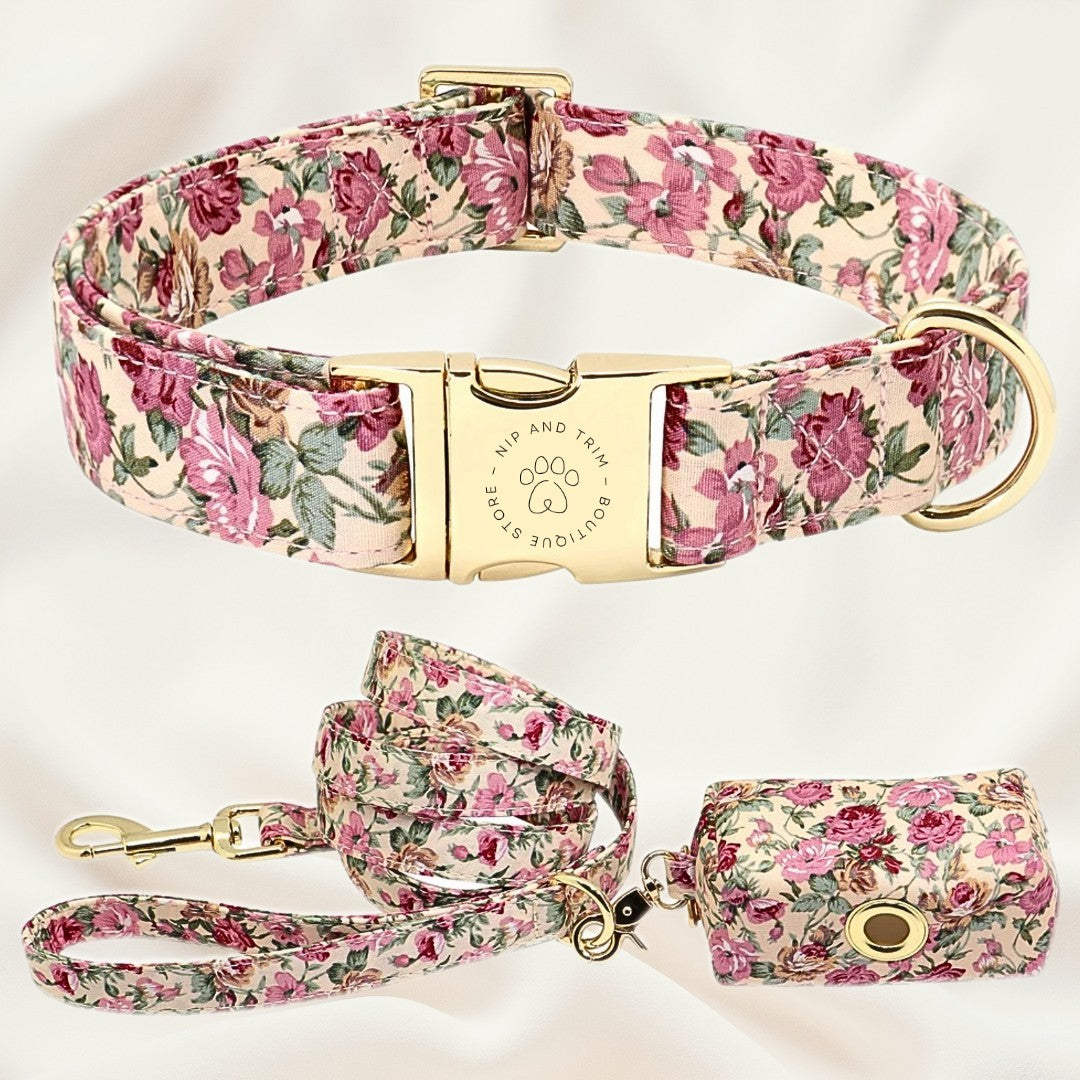 Dog Tag Custom Dog Collar