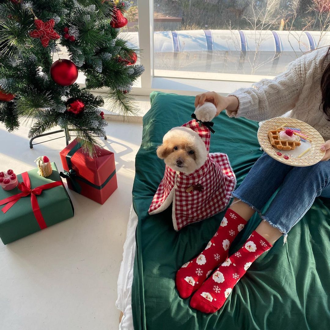 Christmas Winter Pet Clothes Cloak