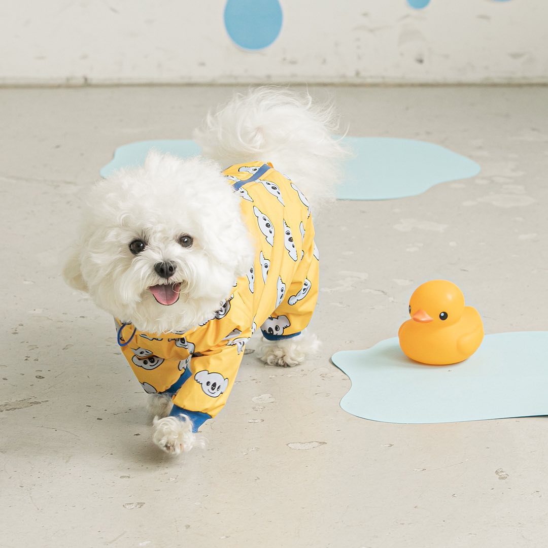 Pet Dog Waterproof All-around Raincoat