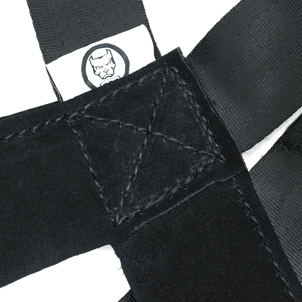 Dog Training Supplies Leashes