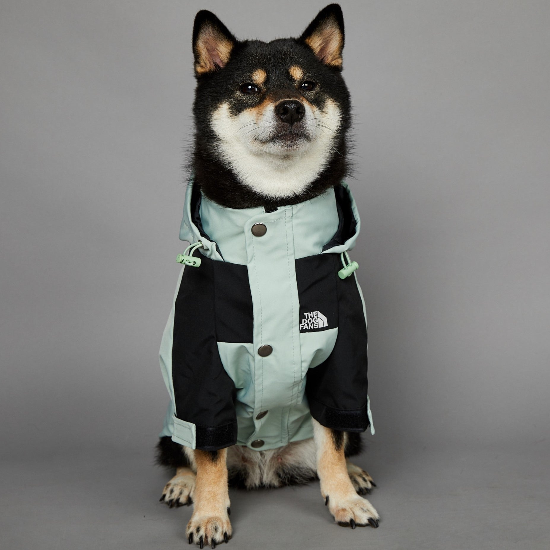Raincoat Pet Shell Jacket