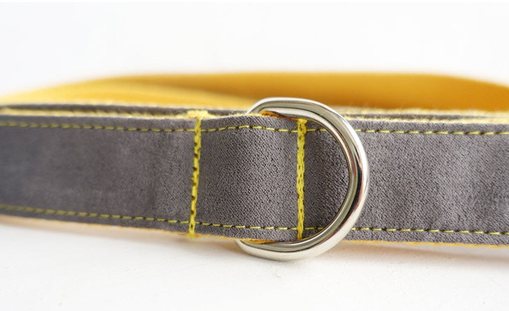 Dog Traction Collar Traction Rope Set