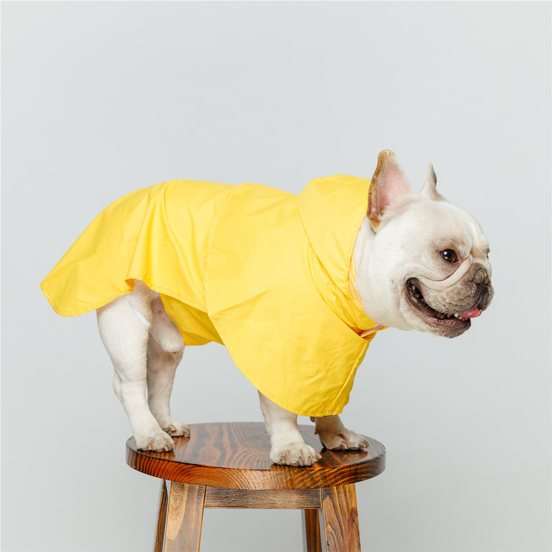 Pet Reflective Strip Waterproof Raincoat