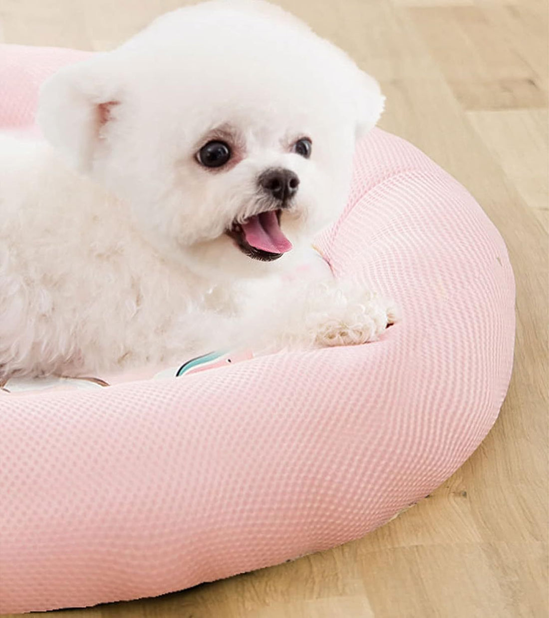 Cooling Dog Bed Soft Summer