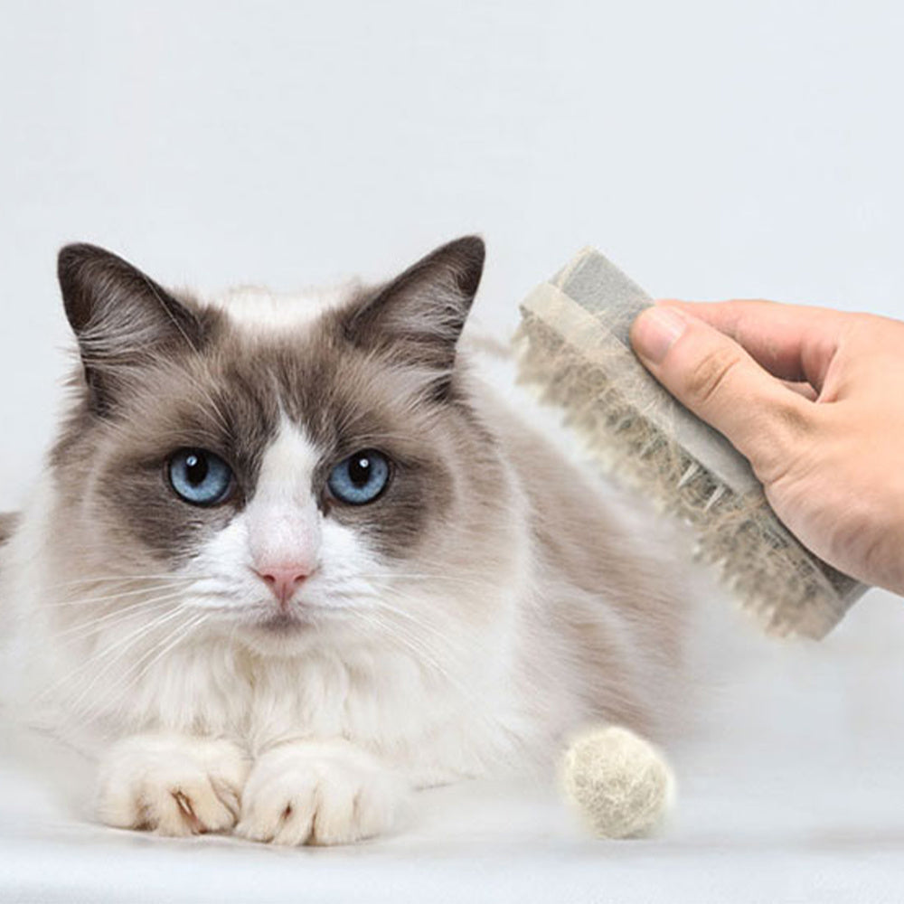 Pet Hair Remover Silicone Comb