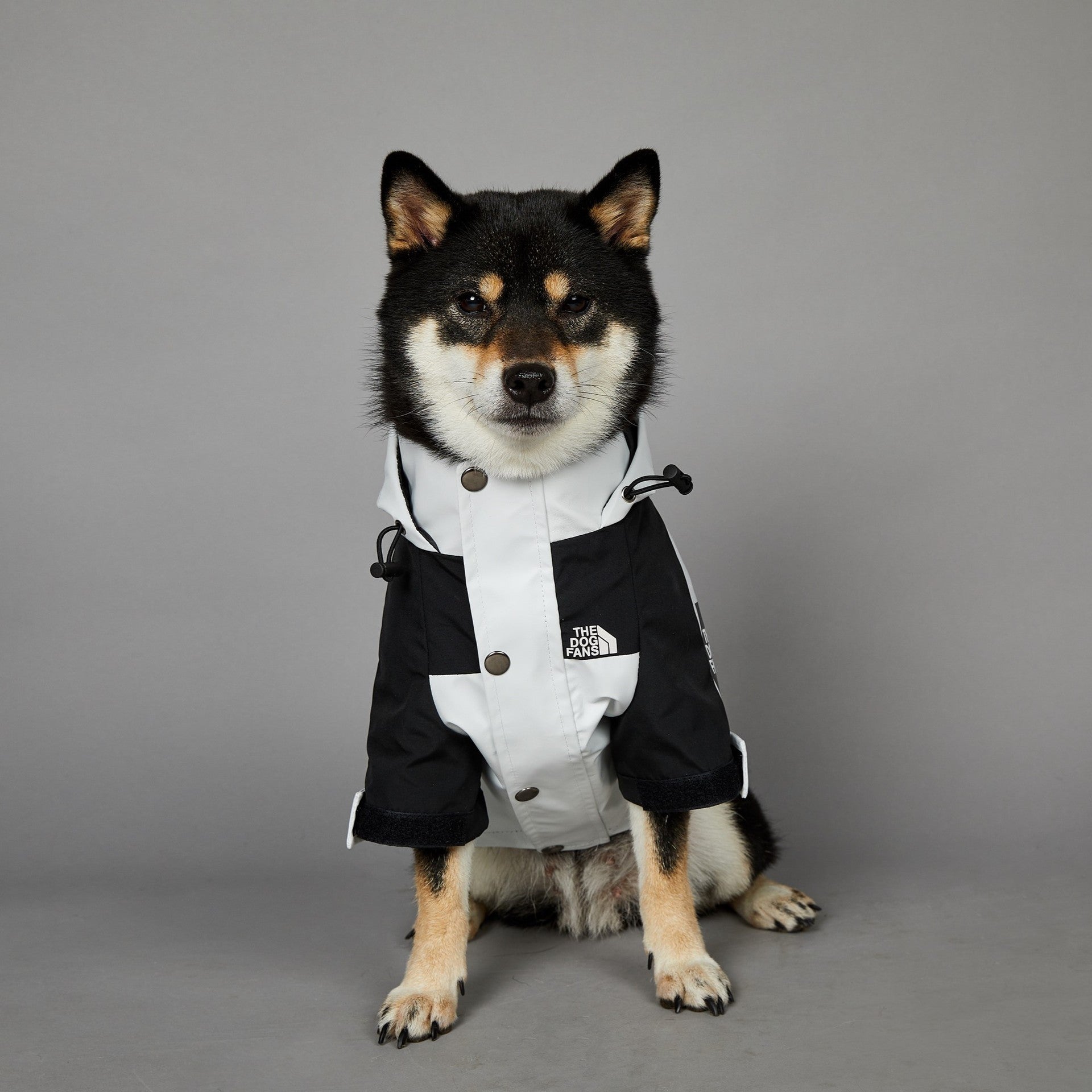 Raincoat Pet Shell Jacket