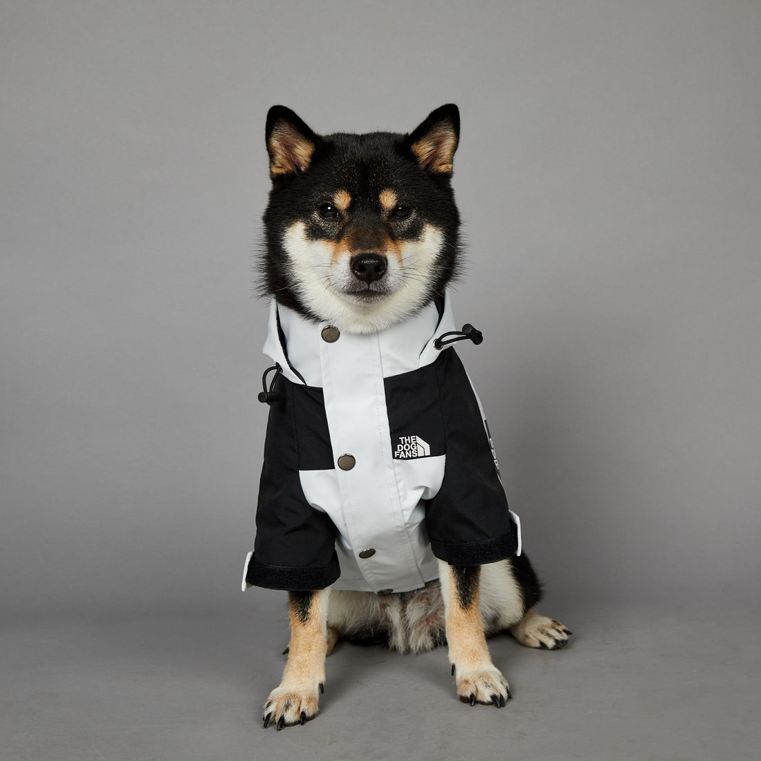 Raincoat Pet Shell Jacket