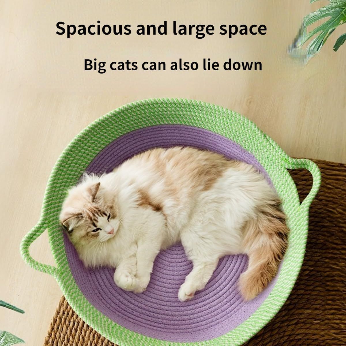 Scratch Cat Bed For Indoor Cats