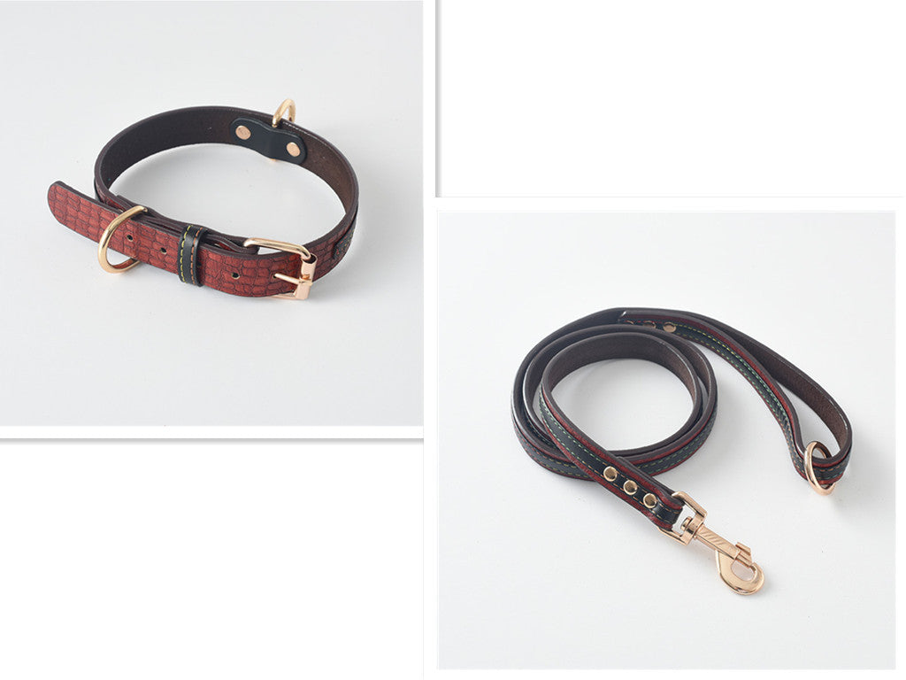 Pet Leash Dog Leash Collar