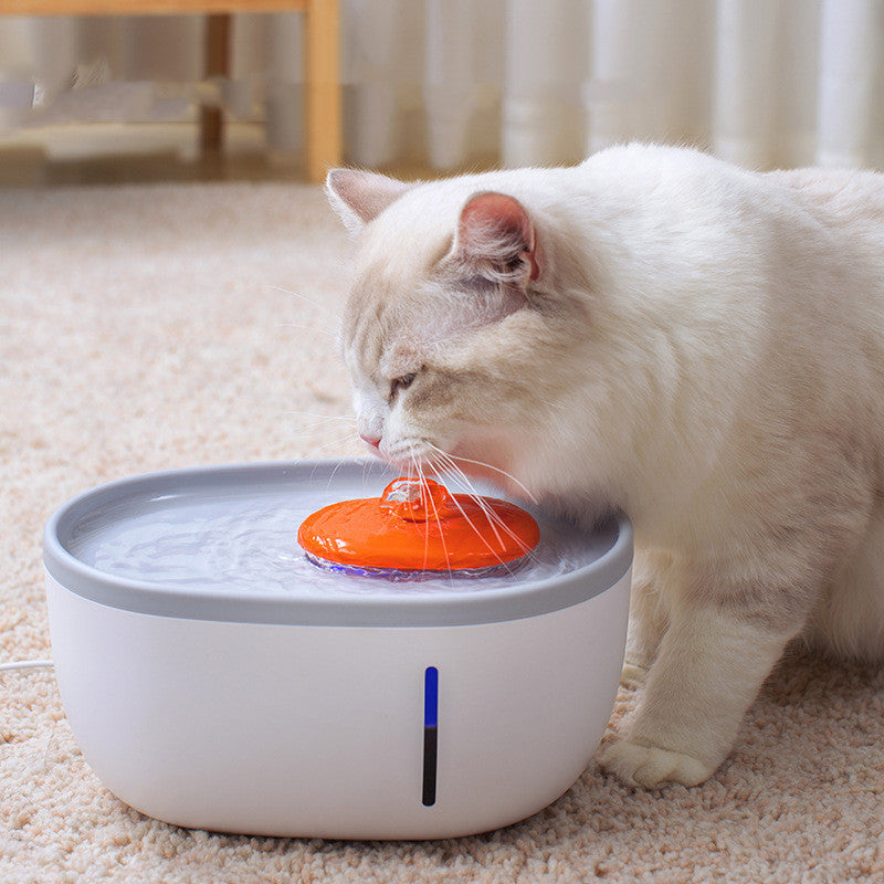 Pet Visual Automatic Water Dispenser