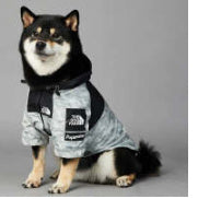 Raincoat Pet Shell Jacket