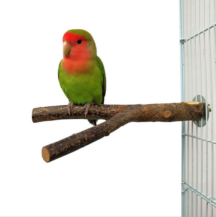 Bird Standing Frame Rattan Ring