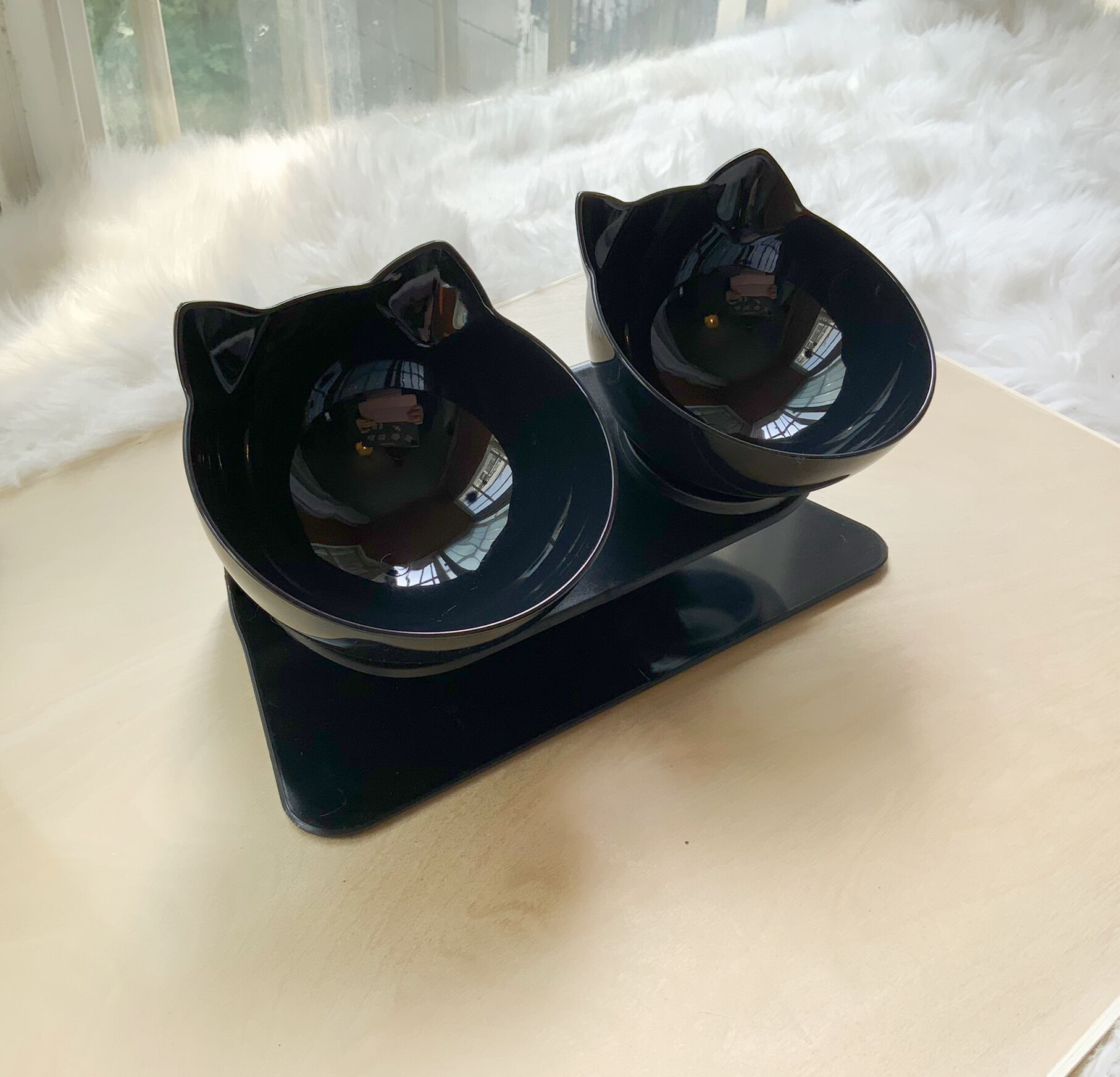 Cat Bowl With Raised Stand