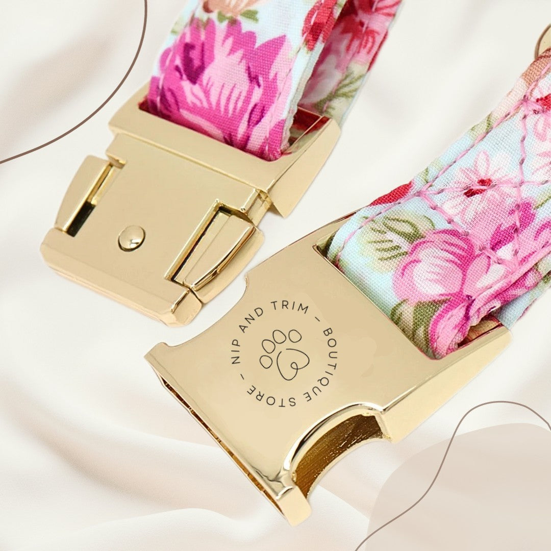 Dog Tag Custom Dog Collar