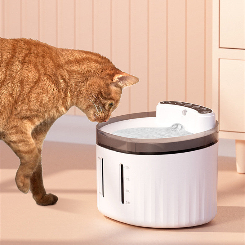 Pet Water Dispenser Automatically Circulates