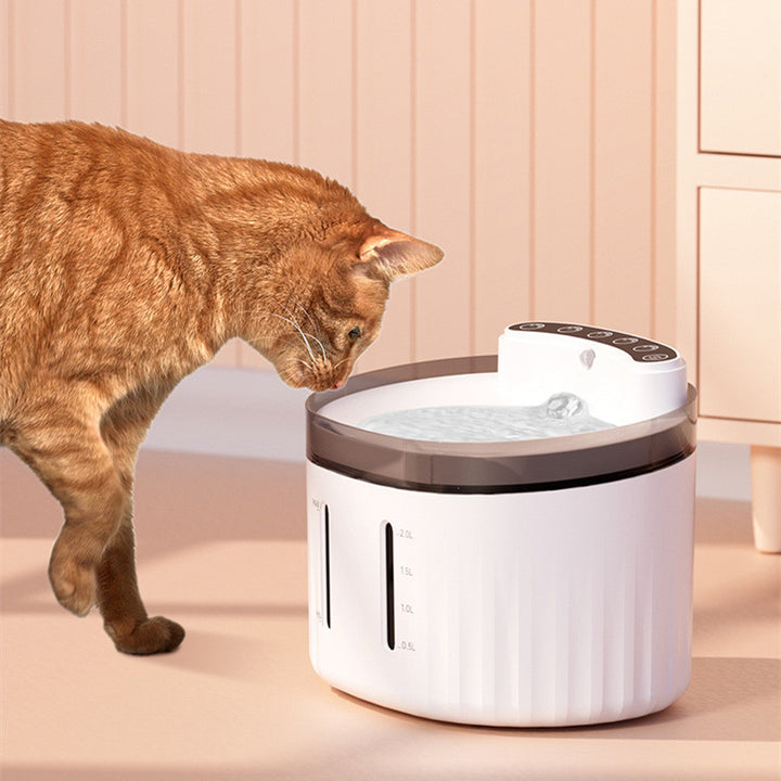 Pet Water Dispenser Automatically Circulates