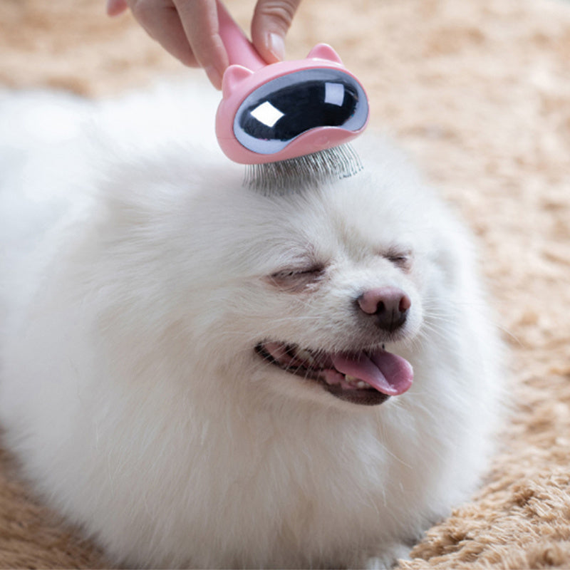 Pet Comb Beauty Hair Remover