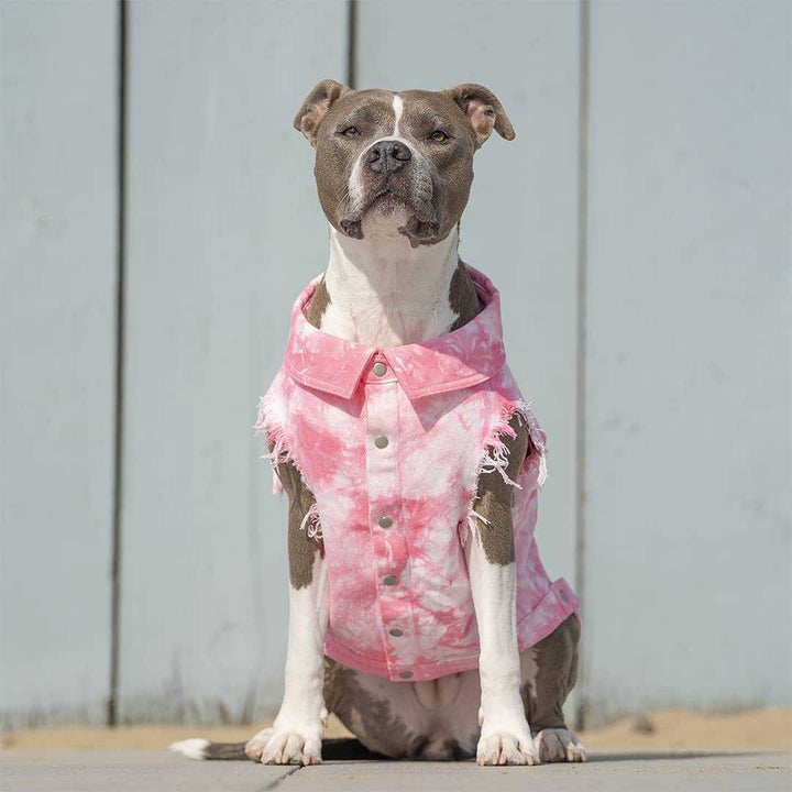 Pet Dog Washed Denim Jacket Clothes