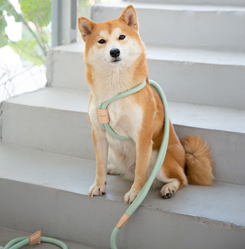 Pet Dual-purpose Dog Leash