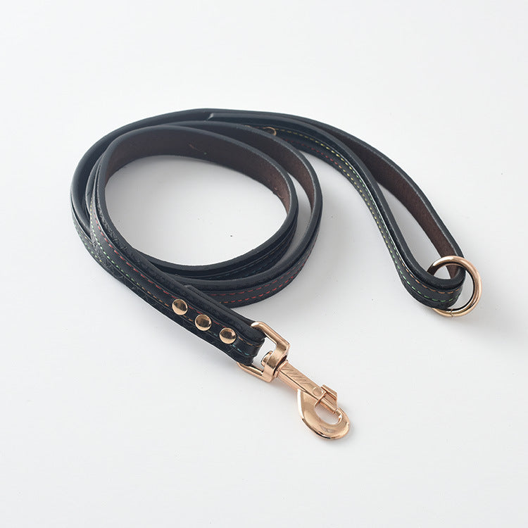 Pet Leash Dog Leash Collar