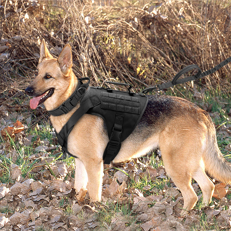 Tactics K9 Chest Harness Vest